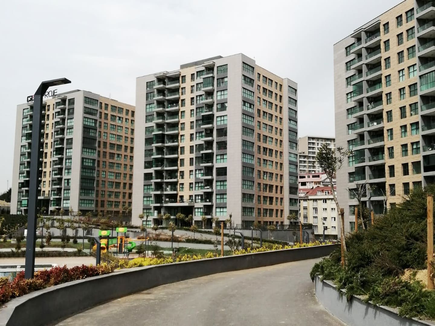 Main Project